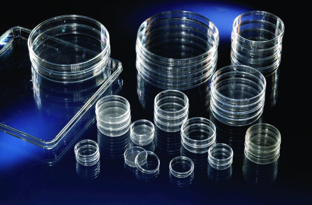 Plaques pour culture cellulaire et tissulaire, surface Nunclon™Δ, PS, traitées, stériles, rondes | Volume de travail: 5 ml