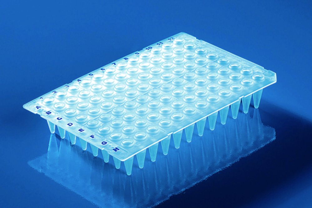 Plaque PCR à 96 puits, en PP, sans jupe, avec bord surélevé