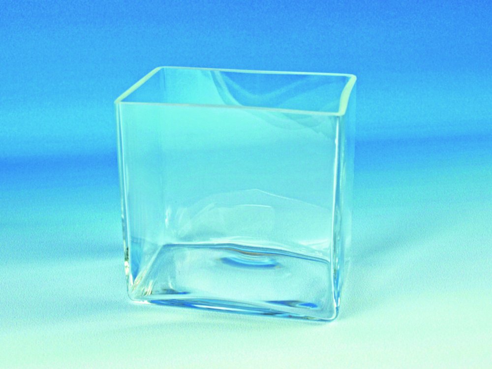 Cuves type aquarium, en verre transparent