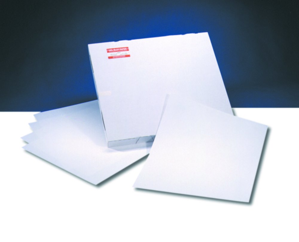 Gel blotting paper | Type: GB 005