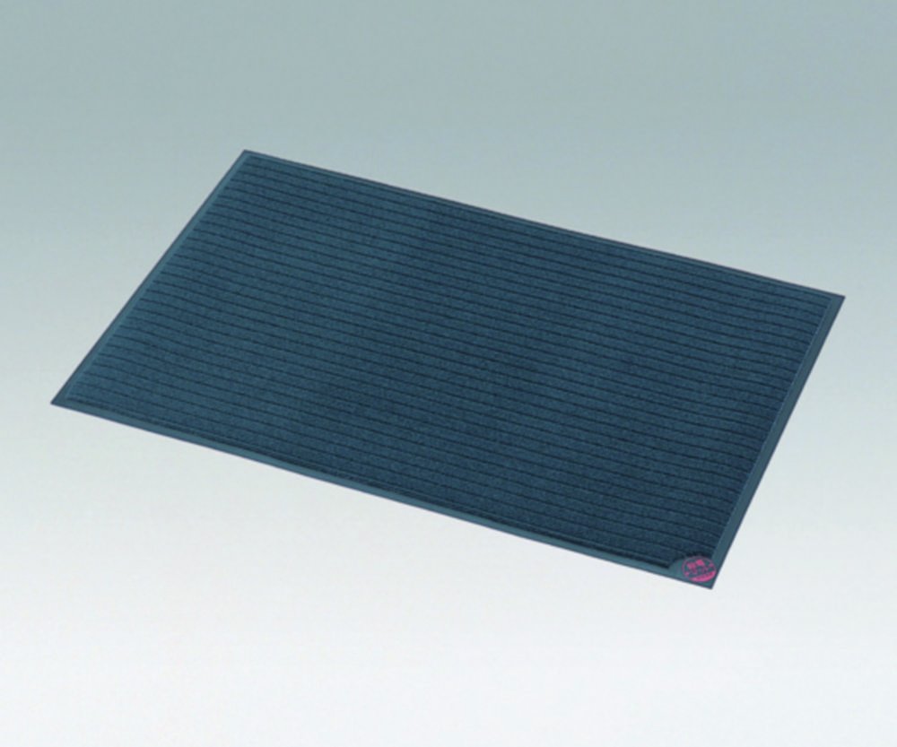 Fußmatten zum Abbau von elektrostatischer Ladung | Abmessungen (B x L) mm: 600 x 900