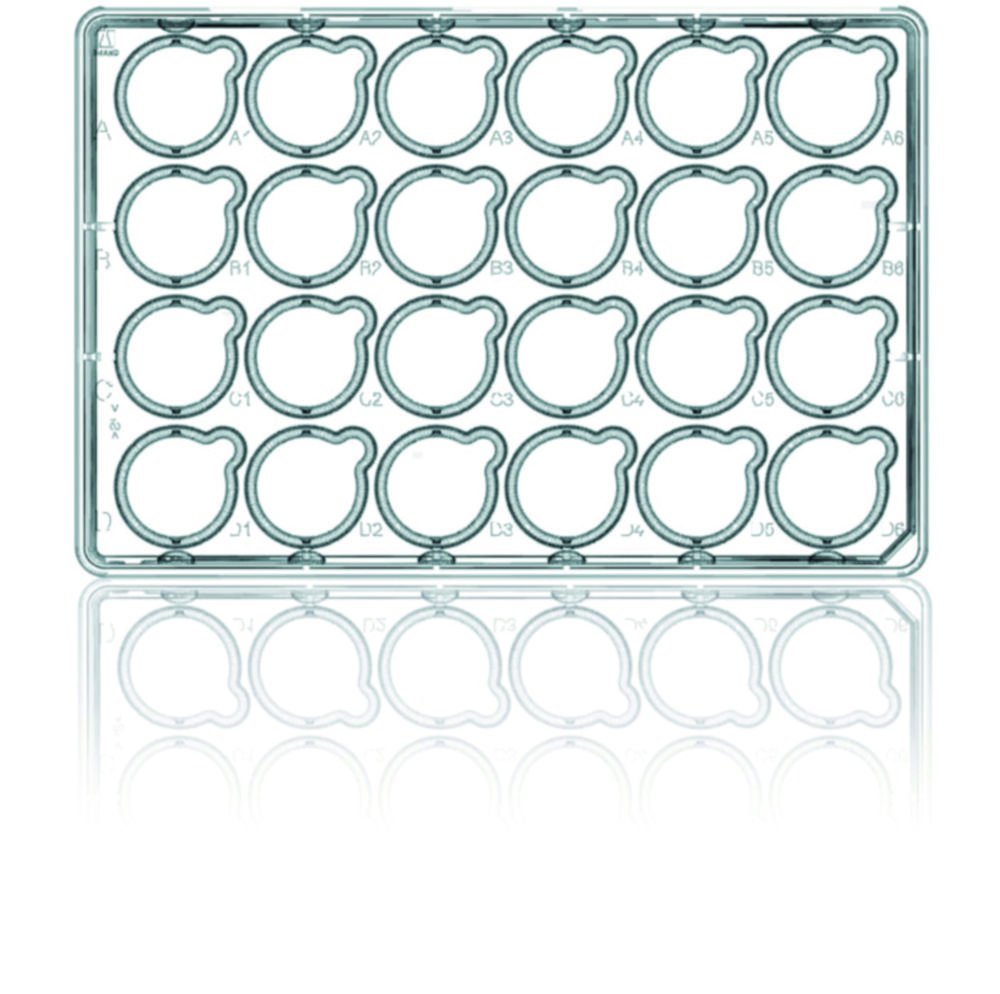 BRANDplates® 24-well Standard-Plates or 6-well Plates, for inserts | Description: 24 well standard plate