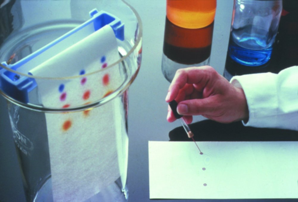 Chromatography paper / Ion exchange papers