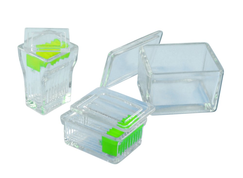 LLG-Färbekästen, Kalk-Natron Glas | Typ: Färbeeinsatz für Makro, Edelstahl