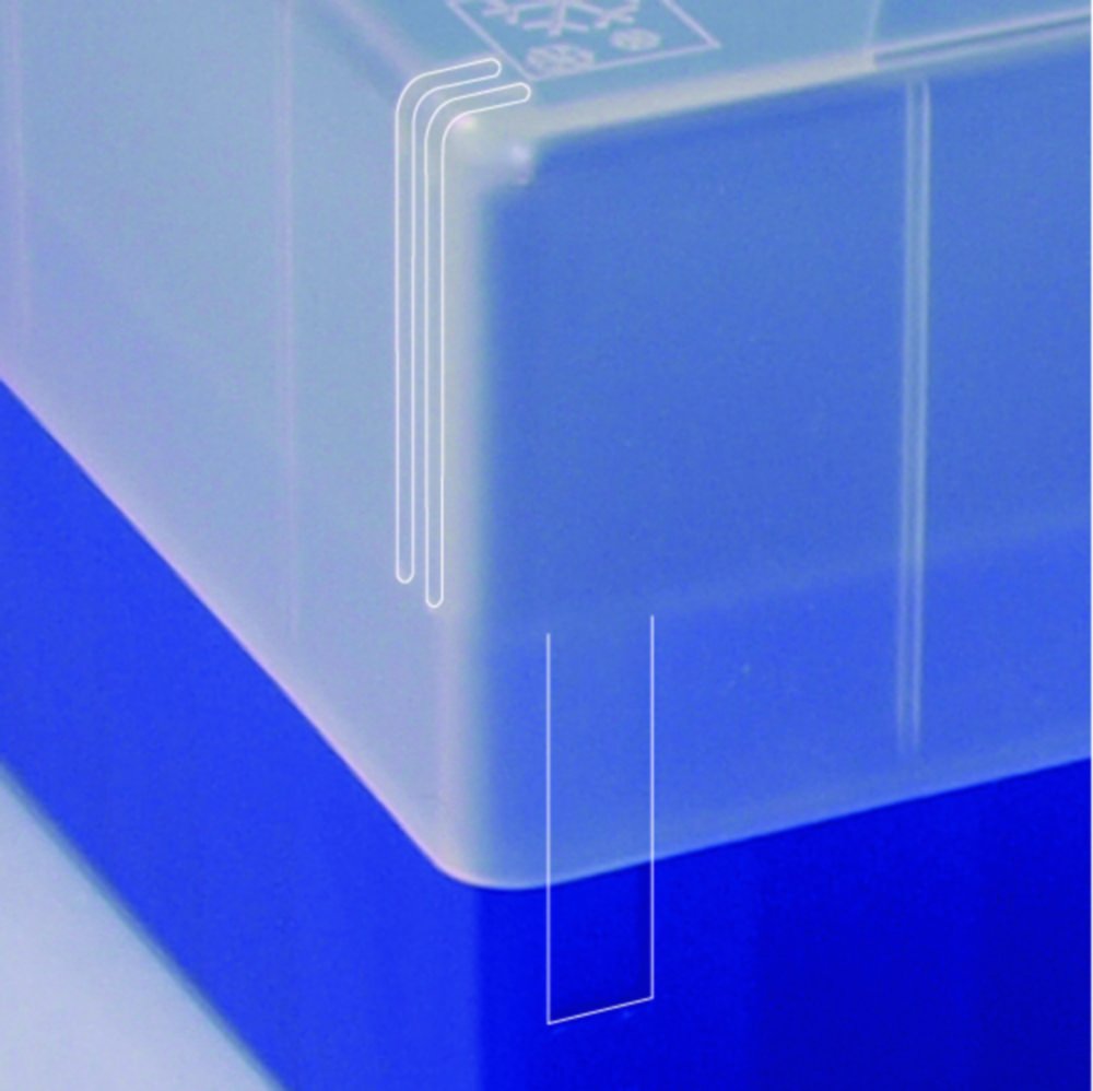 Kryoboxen, Stülpdeckel mit variabler Deckelhöhe, PP, 133 x 133