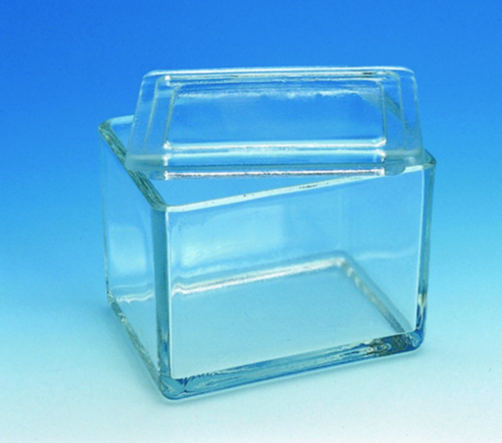 Bac à coloration, verre sodocalcique | Dimensions (LxPxH): 105 x 85 x 80 mm