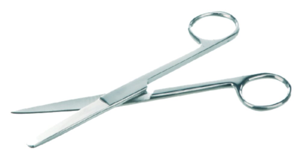 Dressing scissors, stainless steel, straight | Version: Straight