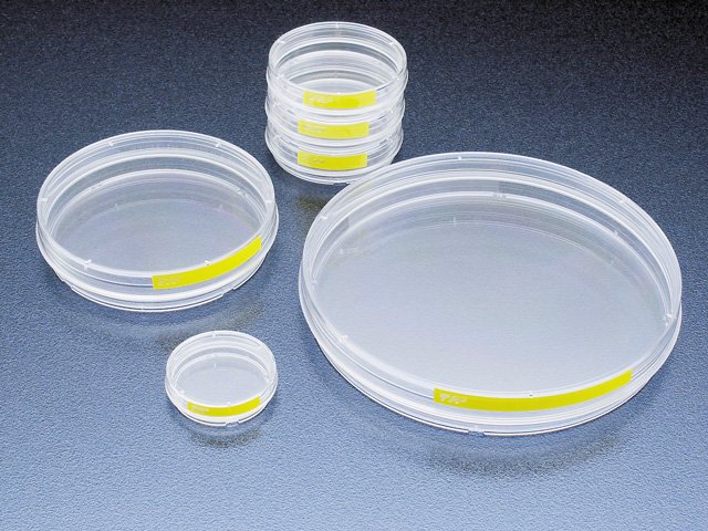 Coquilles de culture cellulaire TPP, de PS, cam, 22,1 cm2 60 mm, 14 / sac, pu = 840 pièces