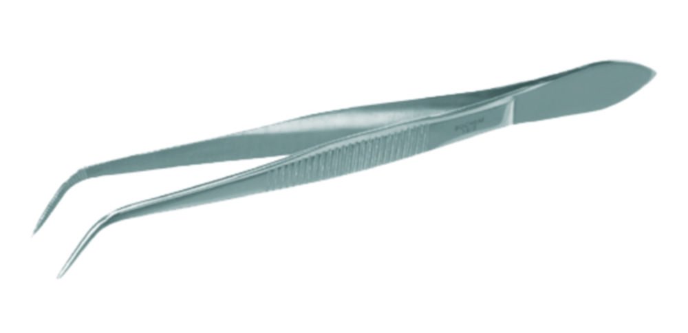 Forceps, curved end, 18/10 steel | Version: Curved