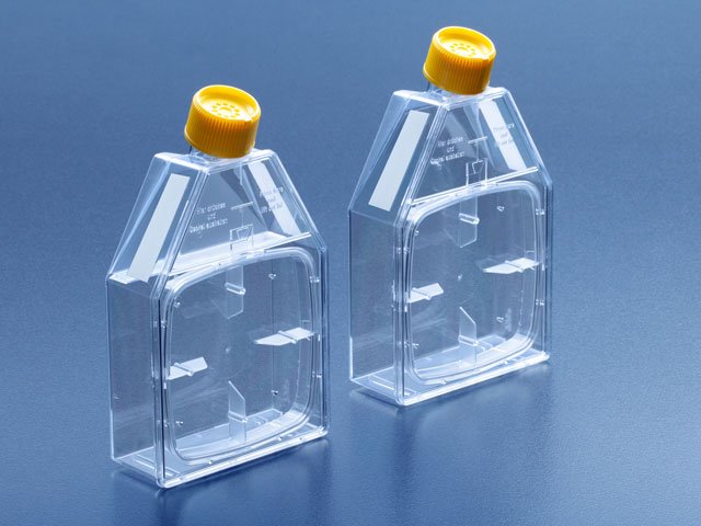 Zellkulturflasche 115 cm², PS, mit Deckel wiederverschließbar, VE=18