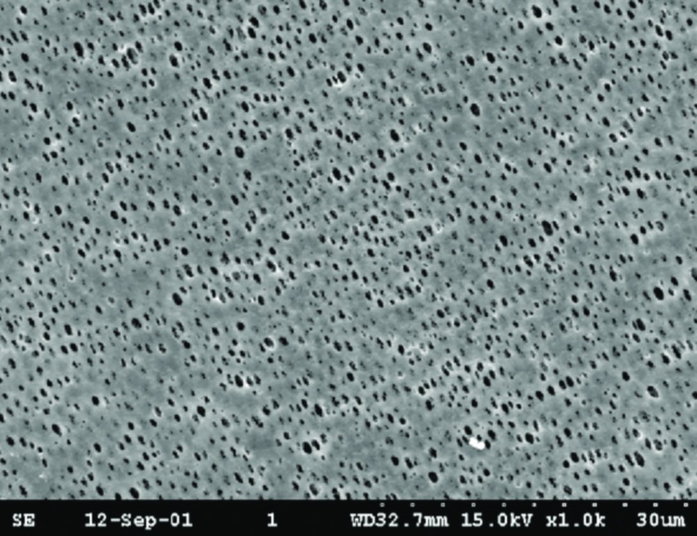 Membrane filtrante en polyamide type NL