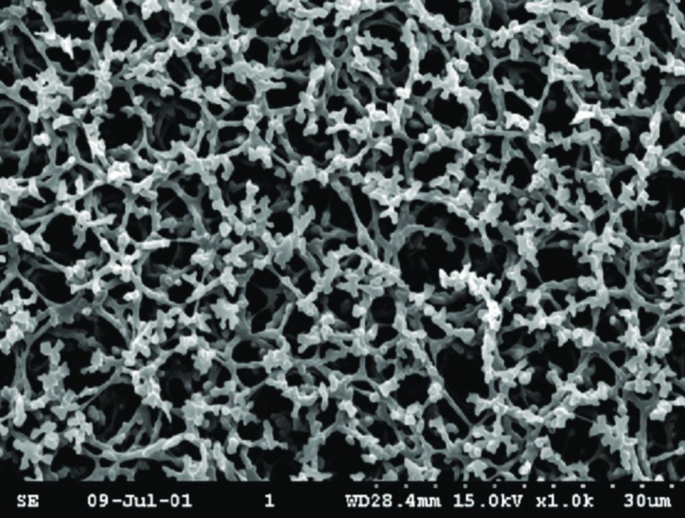 Membrane filtrante en nitrate de cellulose type NC