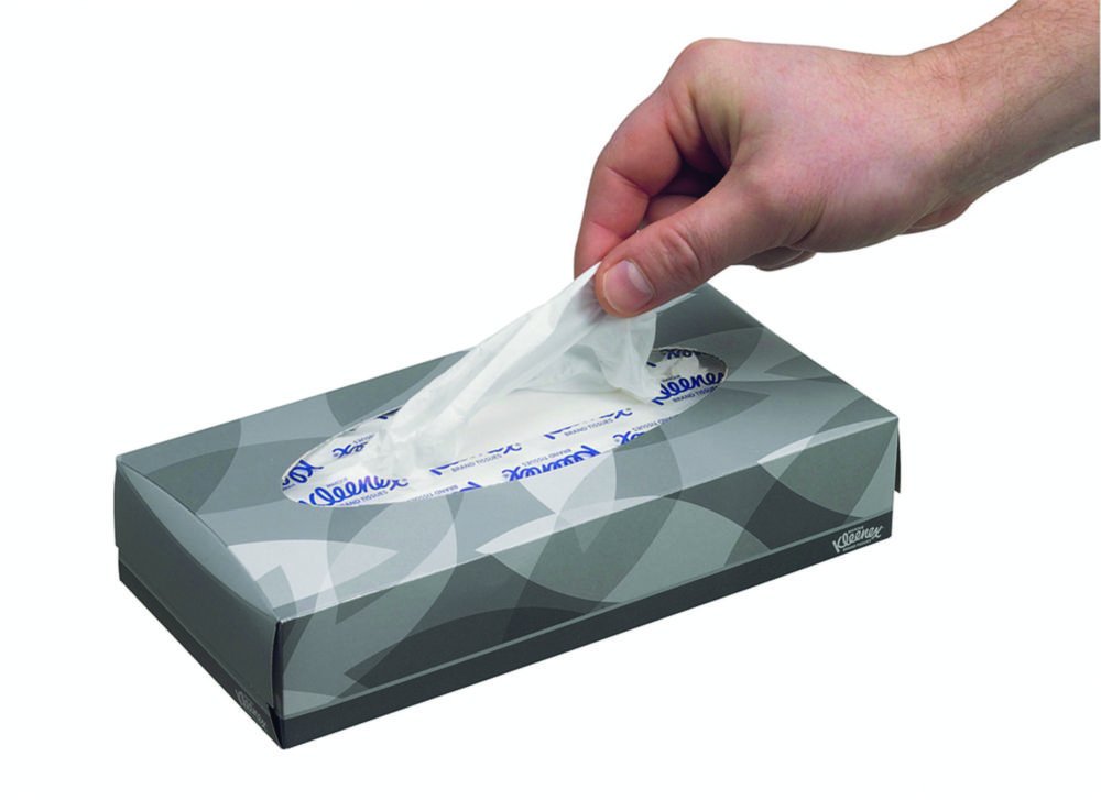 Mouchoirs en papier Kleenex®, 2 plis, 100 feuilles | Contenu de l'emballage: Carton avec 21 boîtes de 100 mouchoirs