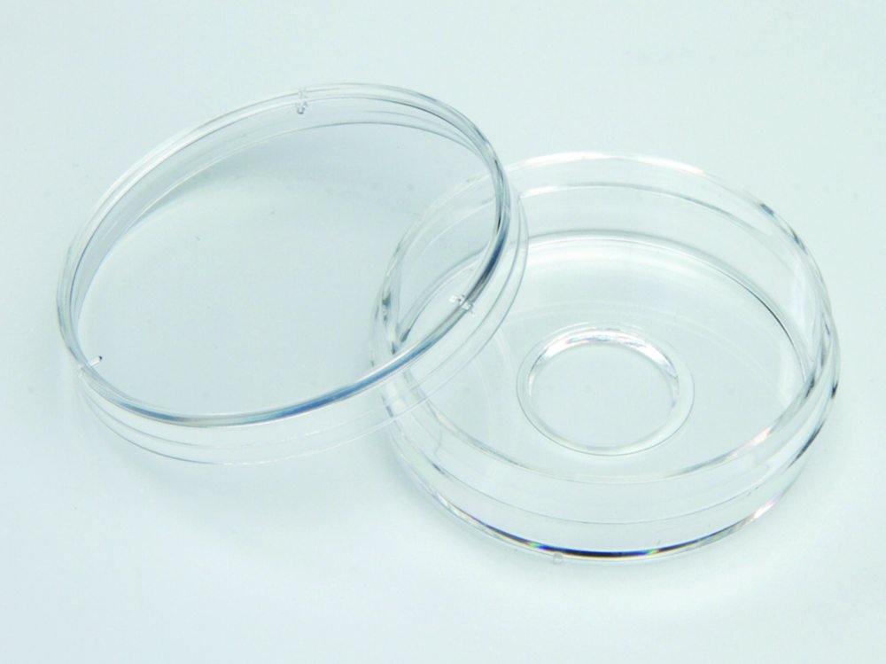 Coupelles avec fond en verre, Nunc™, verre borosilicate | Cavité Ø mm: 12