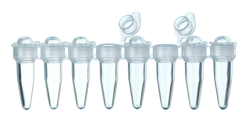 Tubes PCR - LLG, barrettes de 8 avec bouchons individuels attachés, PP | Description: Barrettes de 8 tubes PCR avec bouchons à pression, plats, attachés individuellement