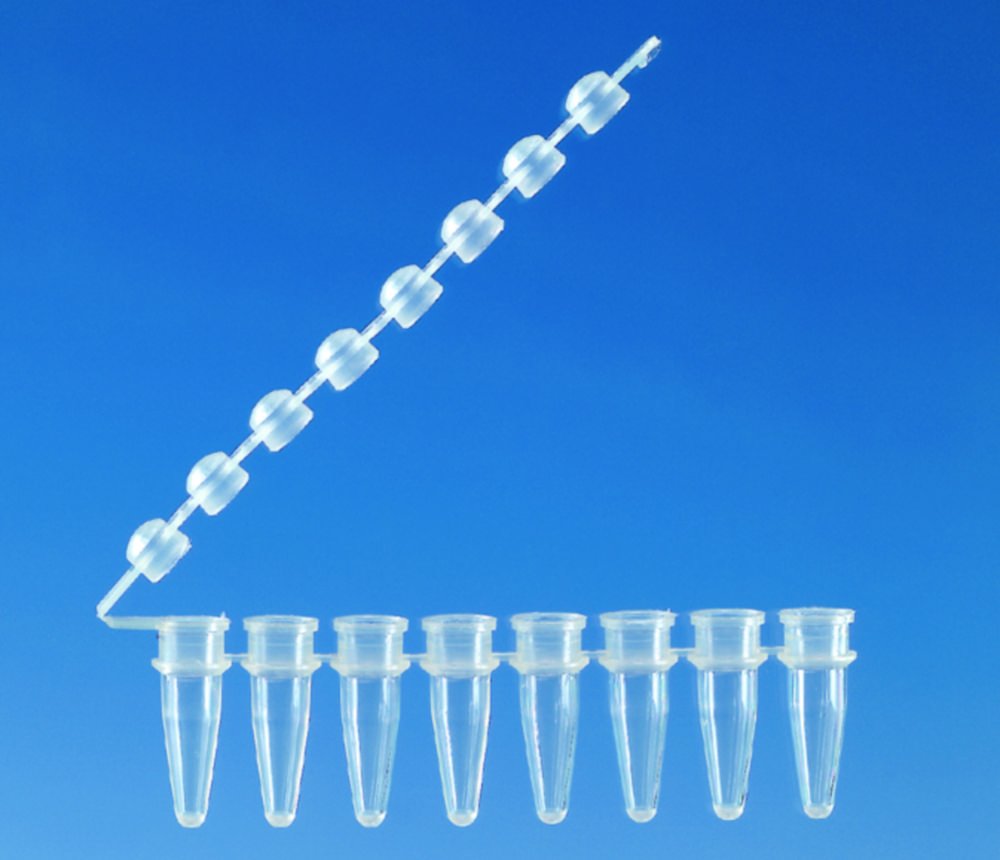Barrette de 8 tubes PCR, en PP, avec bouchons attachés | Type: Incolore