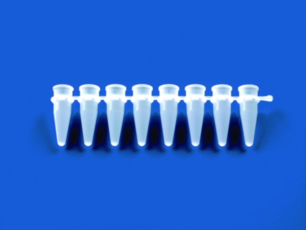 Barrettes de 8/12 tubes PCR, en PP, avec couvercle séparé