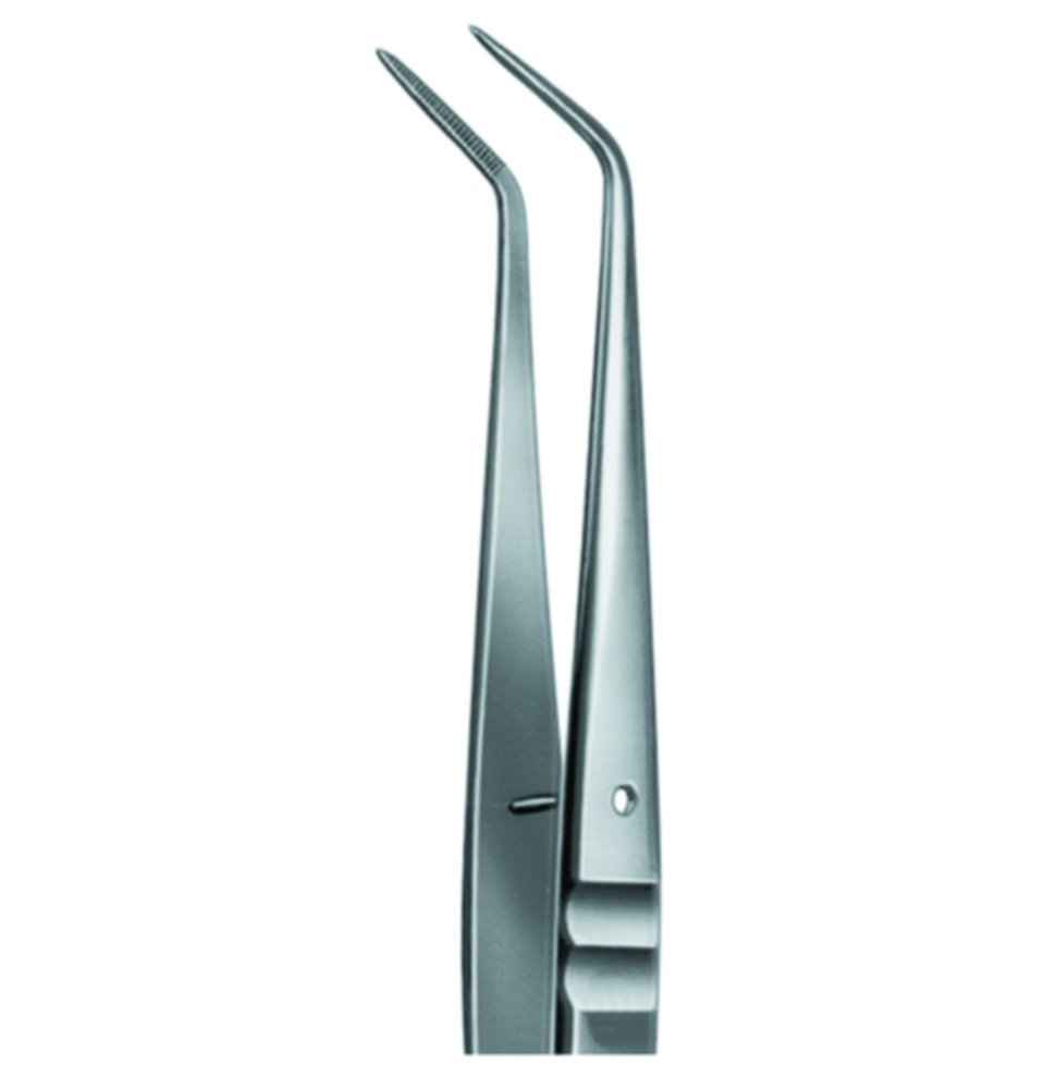 Laboratory forceps | Version: Curved