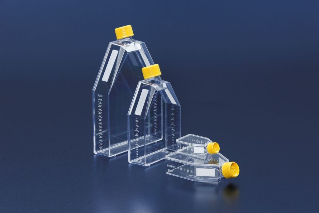 Cell culture bottle 25 cm², PS, with venture cap, PU = 360