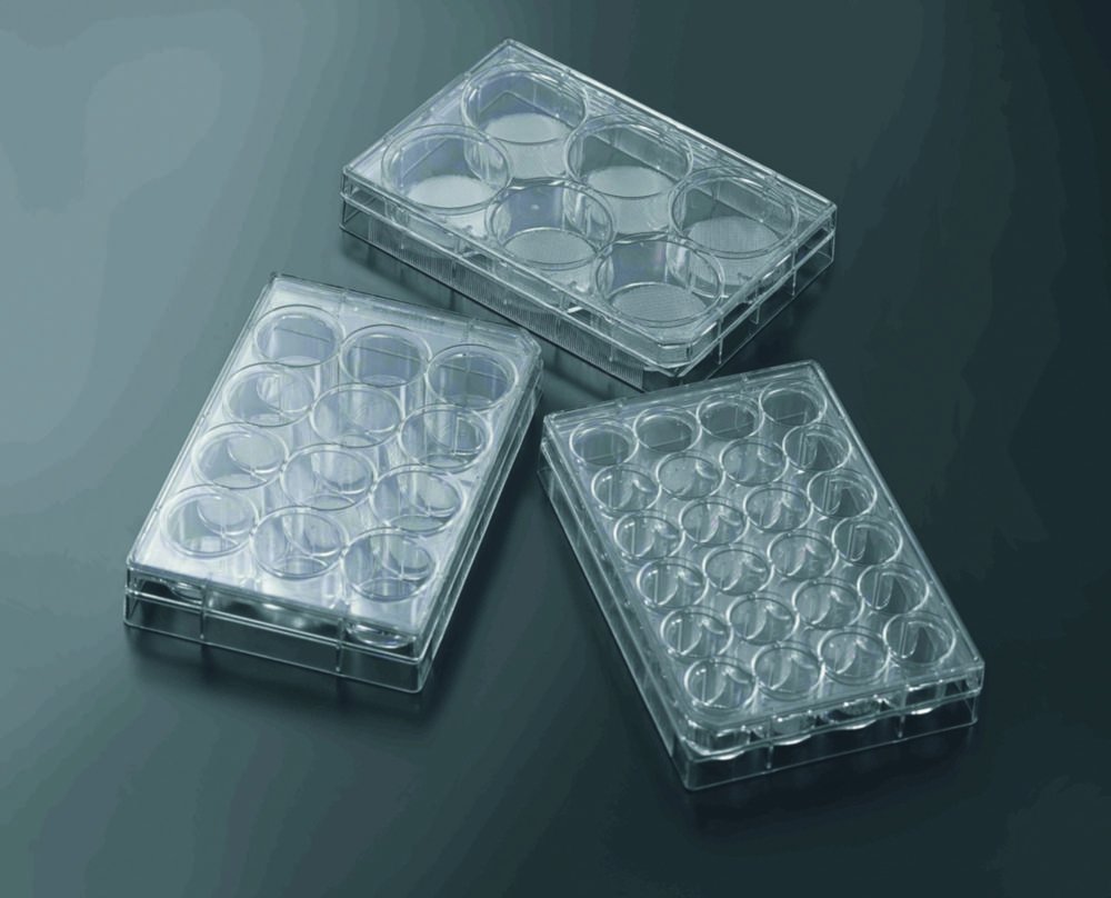 Plaques de culture cellulaire 3D CellSCAFLD®, traitées, PS, stériles | Nombre de puits: 6