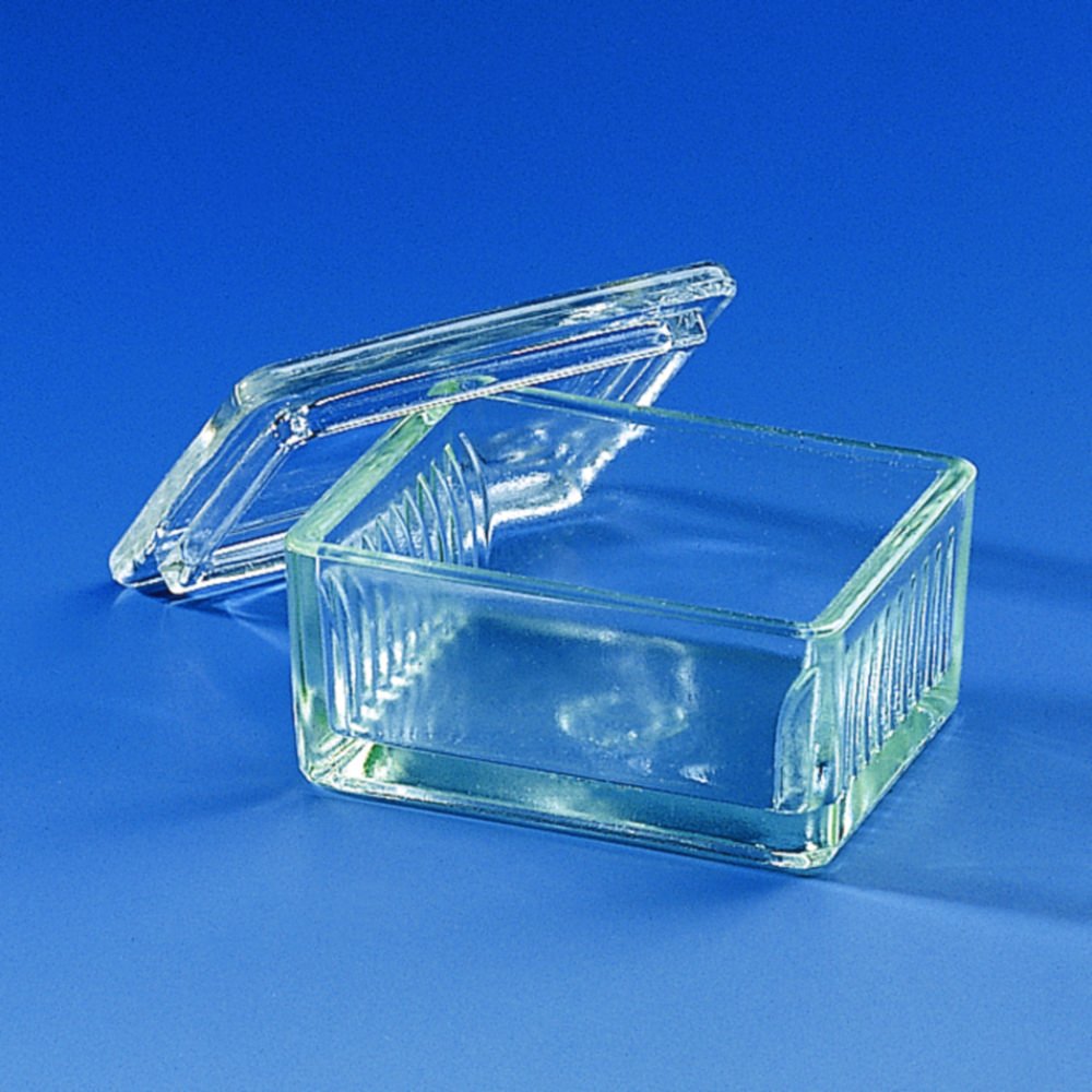 Staining troughs, Schiefferdecker, Soda-lime glass | Dimensions (W x D x H) mm: 85 x 70 x 45