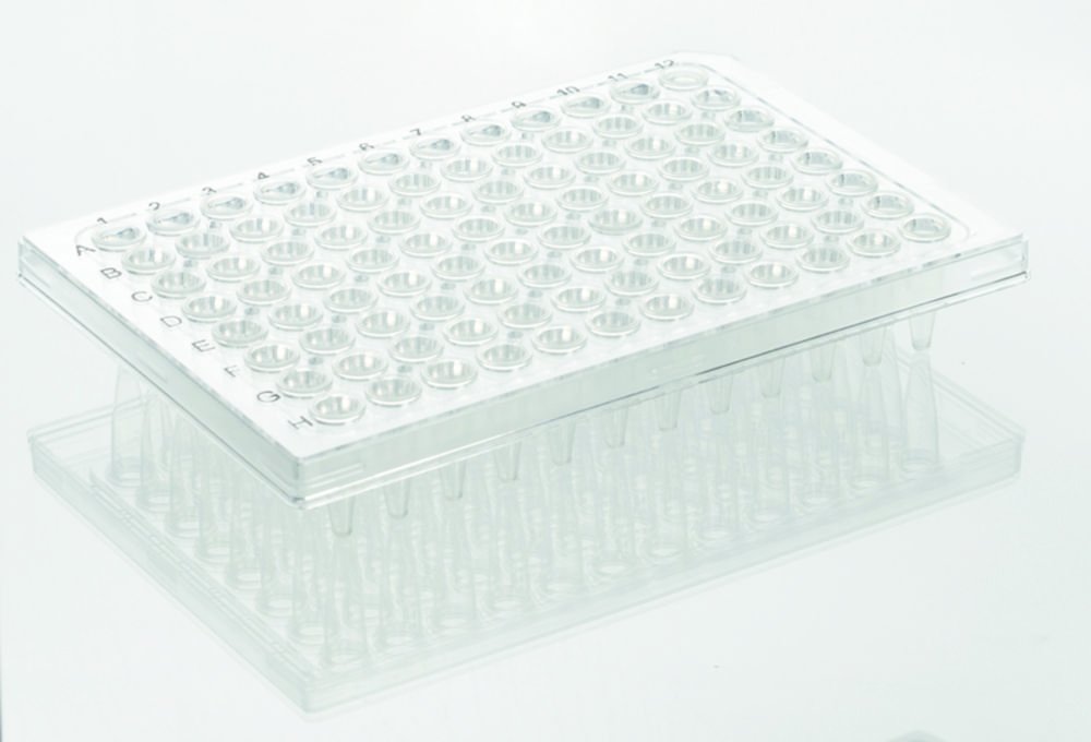 Plaques PCR 96 puits, Rigid Frame | Description: demi-cadre, transparent, puits transparents, profil standard