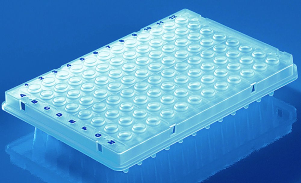 Plaque PCR à 96 puits, en PP, 1/2 jupe, avec bord surélevé