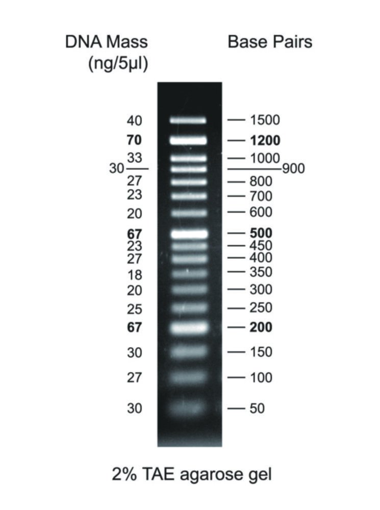 Marqueurs ADN pour électrophorèse sur gel | Type: CSL-MDNA-50BP